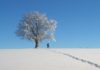 Raquettes à neige dans le Jura