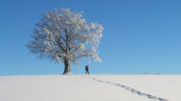 Raquettes à neige dans le Jura